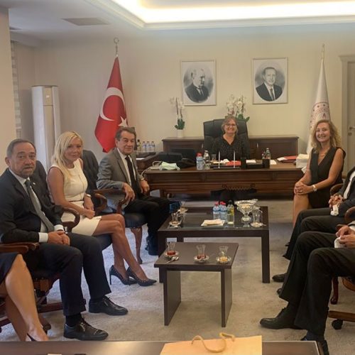 TBD Genel Başkanı Sayın Rahmi AKTEPE ve TBD Heyeti  Milli Eğitim Bakanı Yardımcısı Sayın Prof. Dr. Petek AŞKAR’ı Makamında Ziyaret Etti
